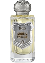 Парфюмерная вода Ambra Nobile