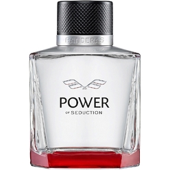 Туалетная вода мужская Power Of Seduction