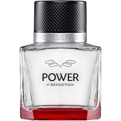Туалетная вода мужская Power Of Seduction