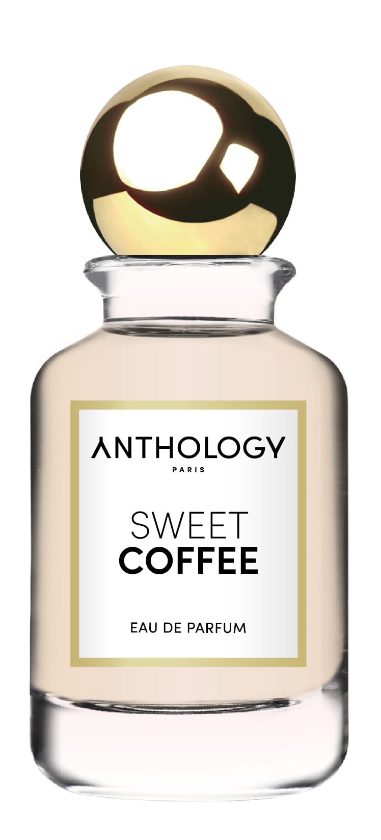 Парфюмерная вода женская Sweet Coffee, 100 мл