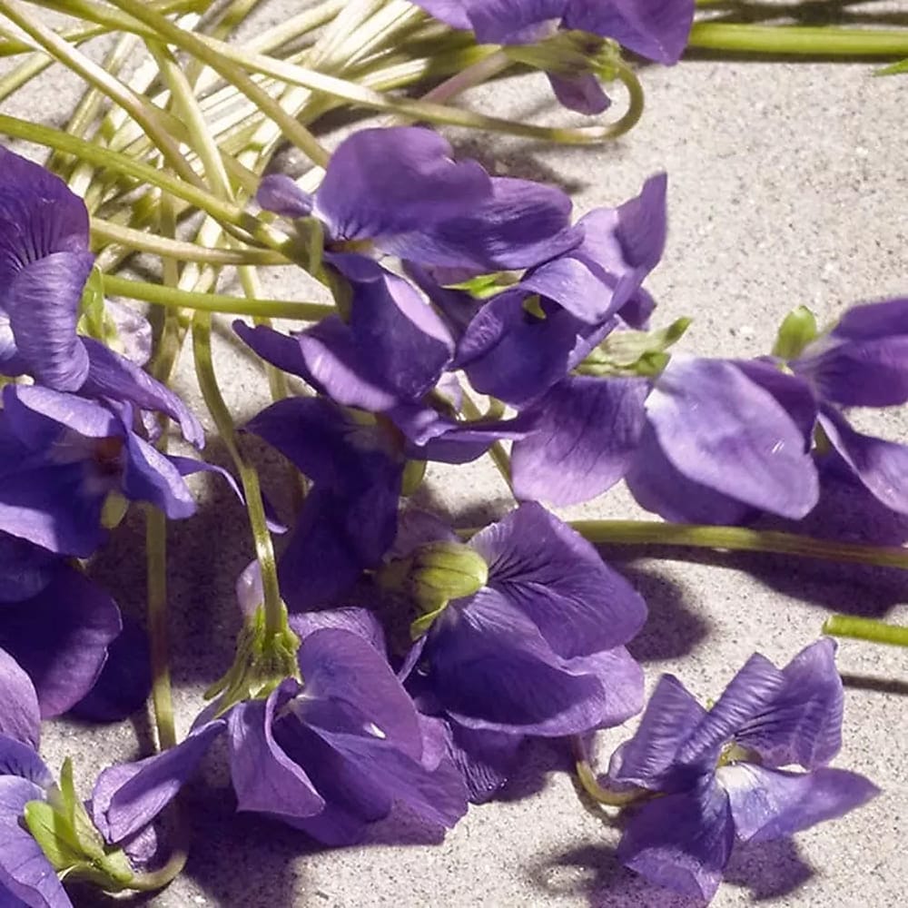 Набор парфюмерный Dolce Violet (Туалетная вода,75 мл+Туалетная вода,10 мл) - фото 6