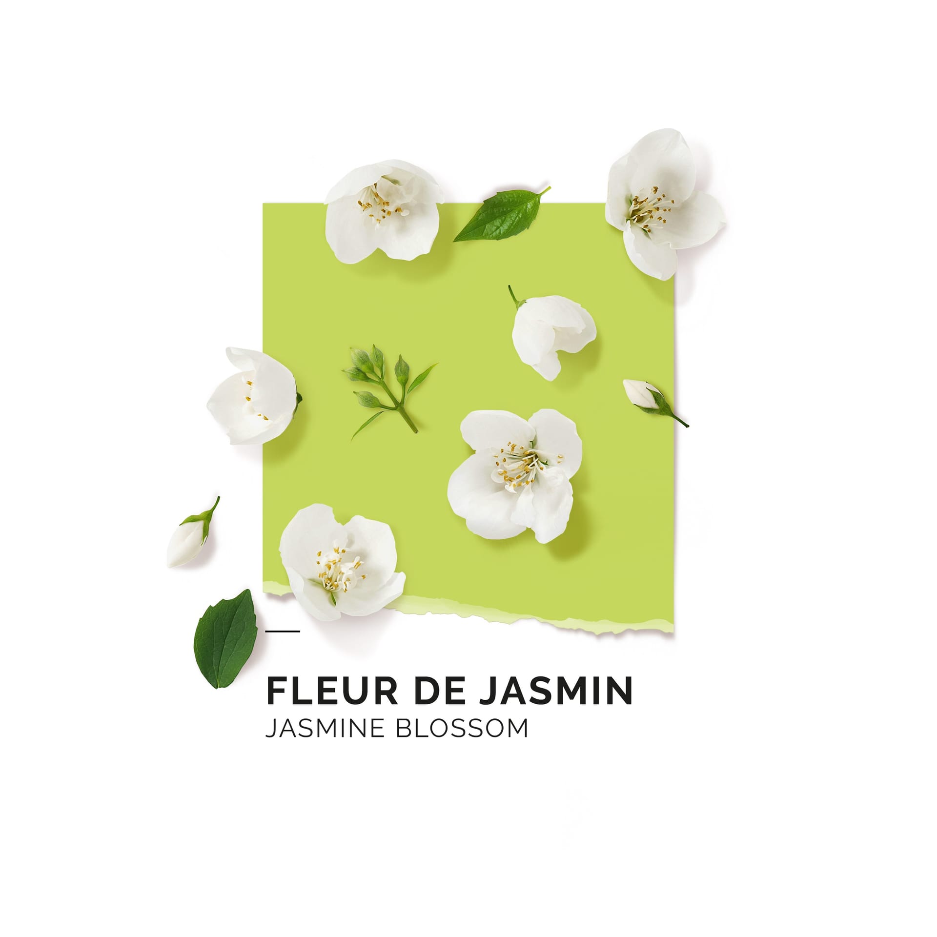 Парфюмерная вода Fleur de Jasmin - фото 5