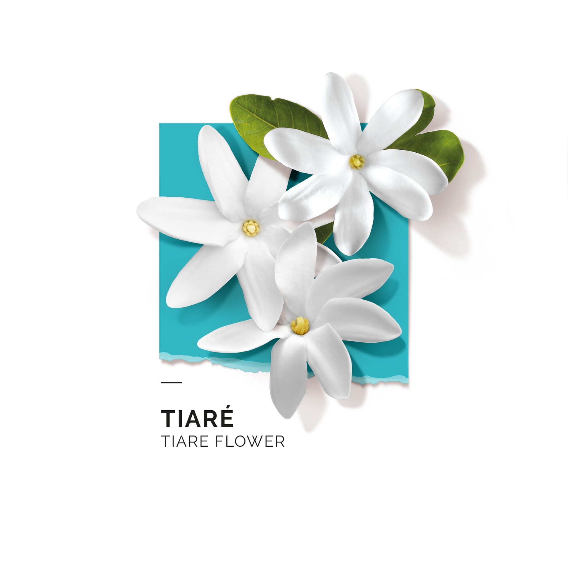 Парфюмерная вода Tiare - фото 2
