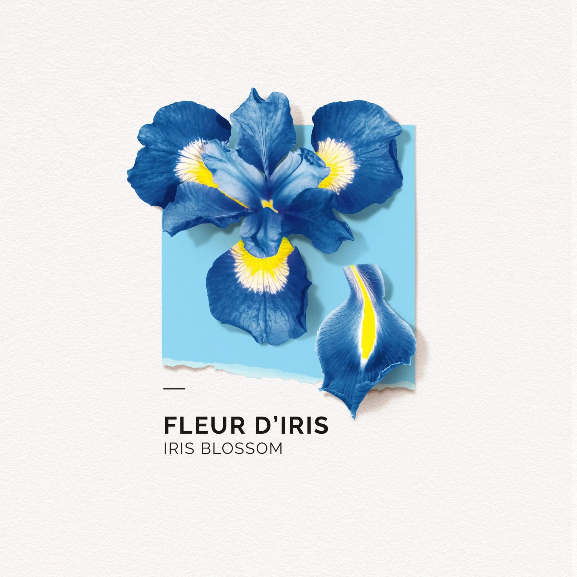 Парфюмерная вода Fleur D’iris - фото 3