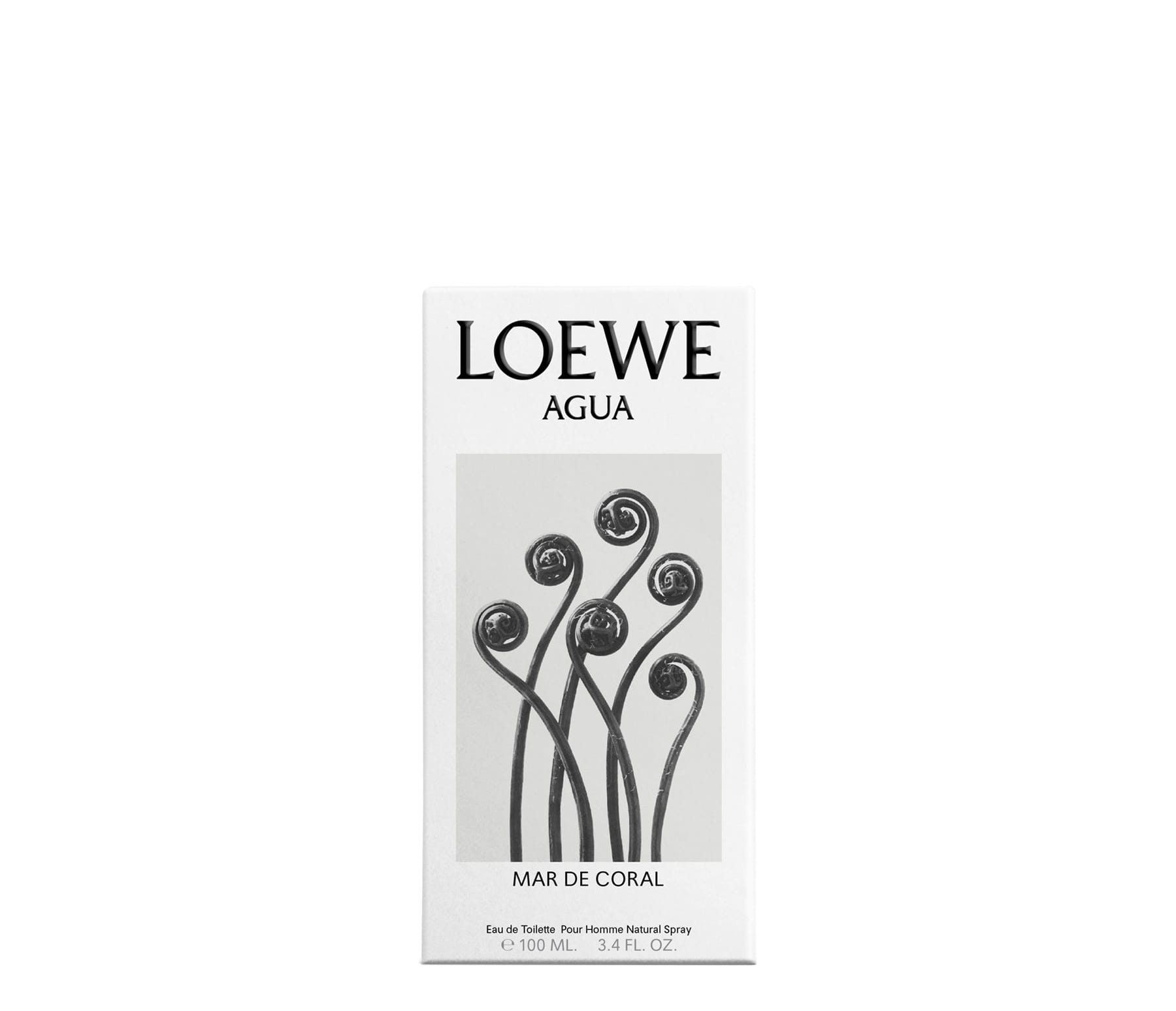Туалетная вода LOEWE AGUA MAR DE CORAL, 100 мл - фото 3