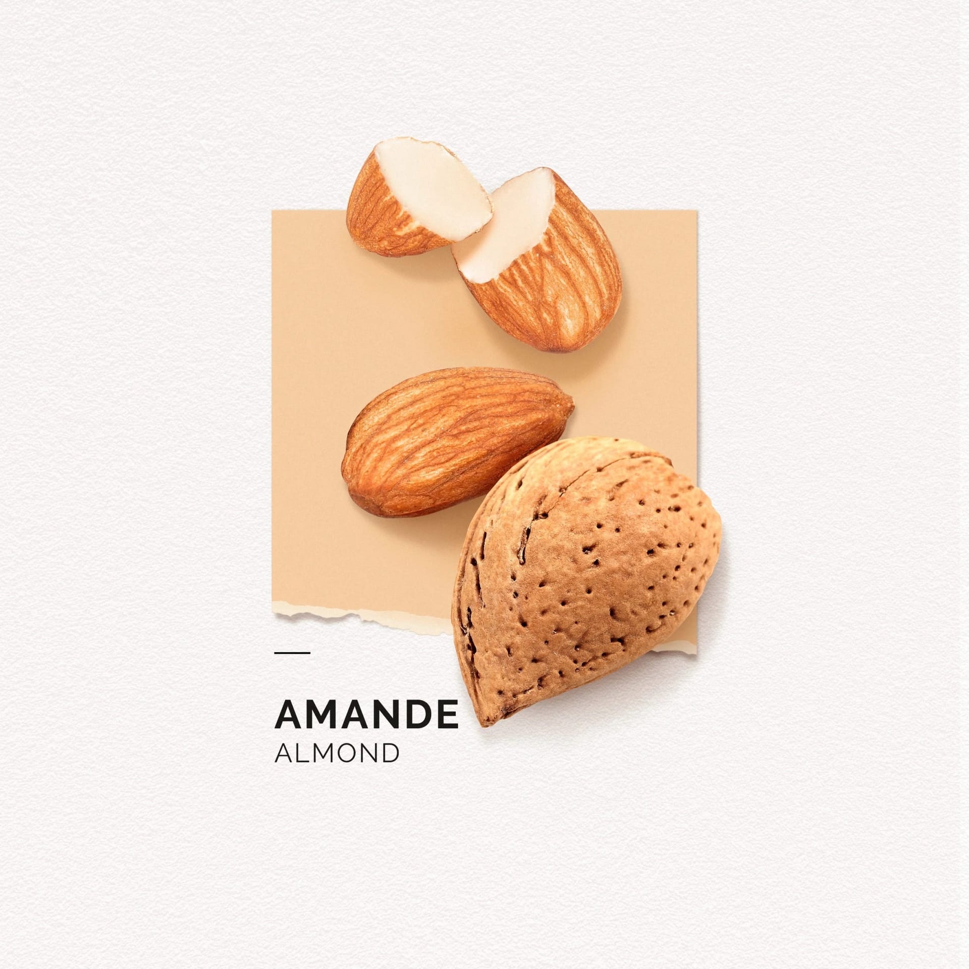 Парфюмерная вода Amande - фото 6