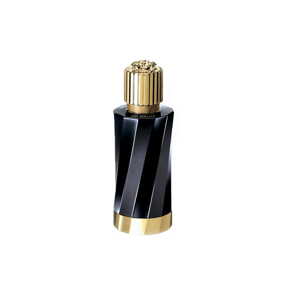 Парфюмерная вода Atelier Versace Iris D'elite, 100 мл - фото 2