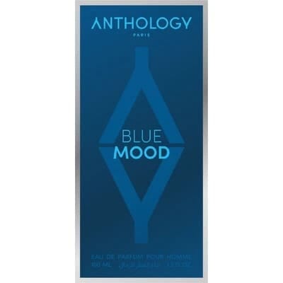 Парфюмерная вода мужская Blue Mood, 100 мл - фото 3