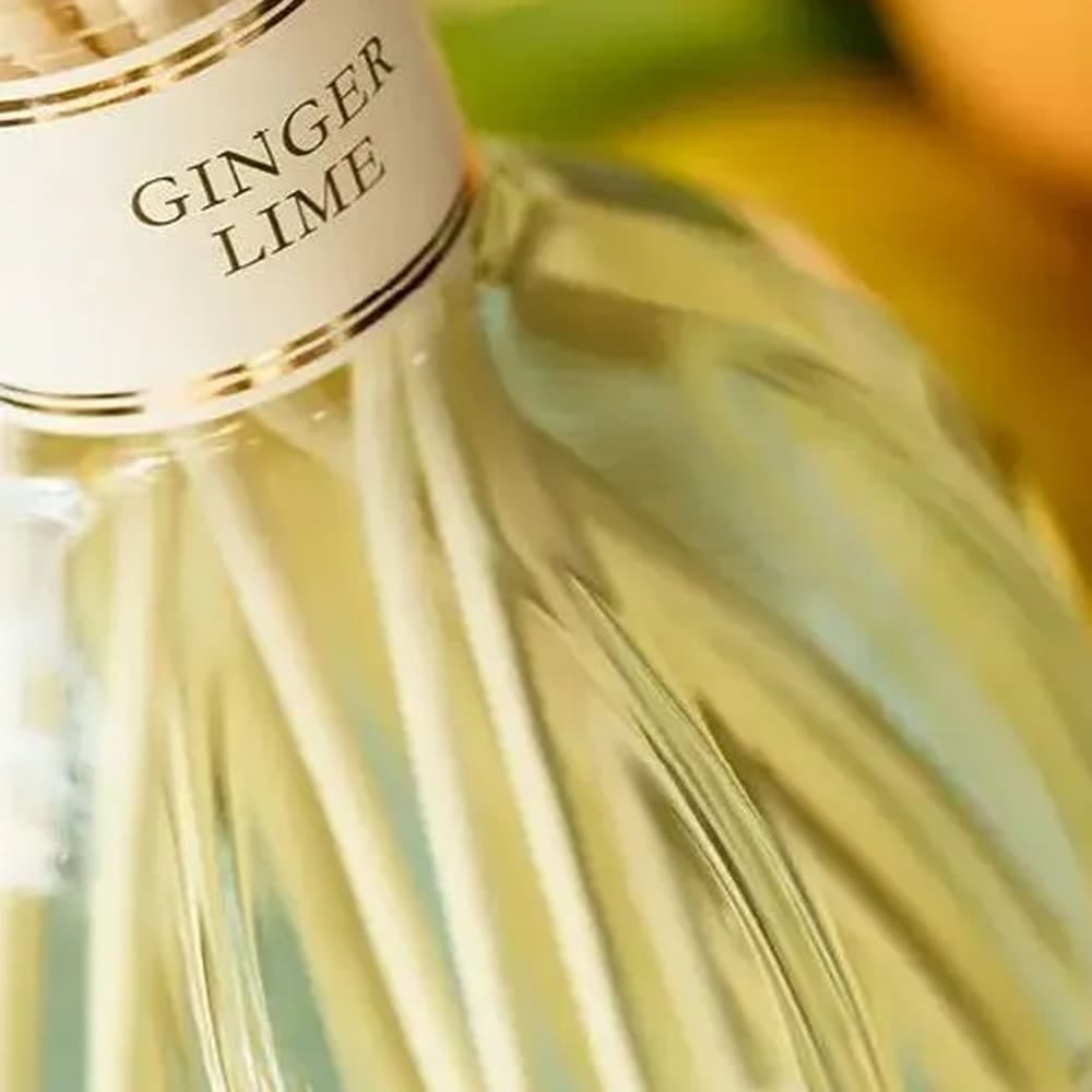 Ароматизатор воздуха для дома Dr. Vranjes Firenze Ginger Lime     - фото 5