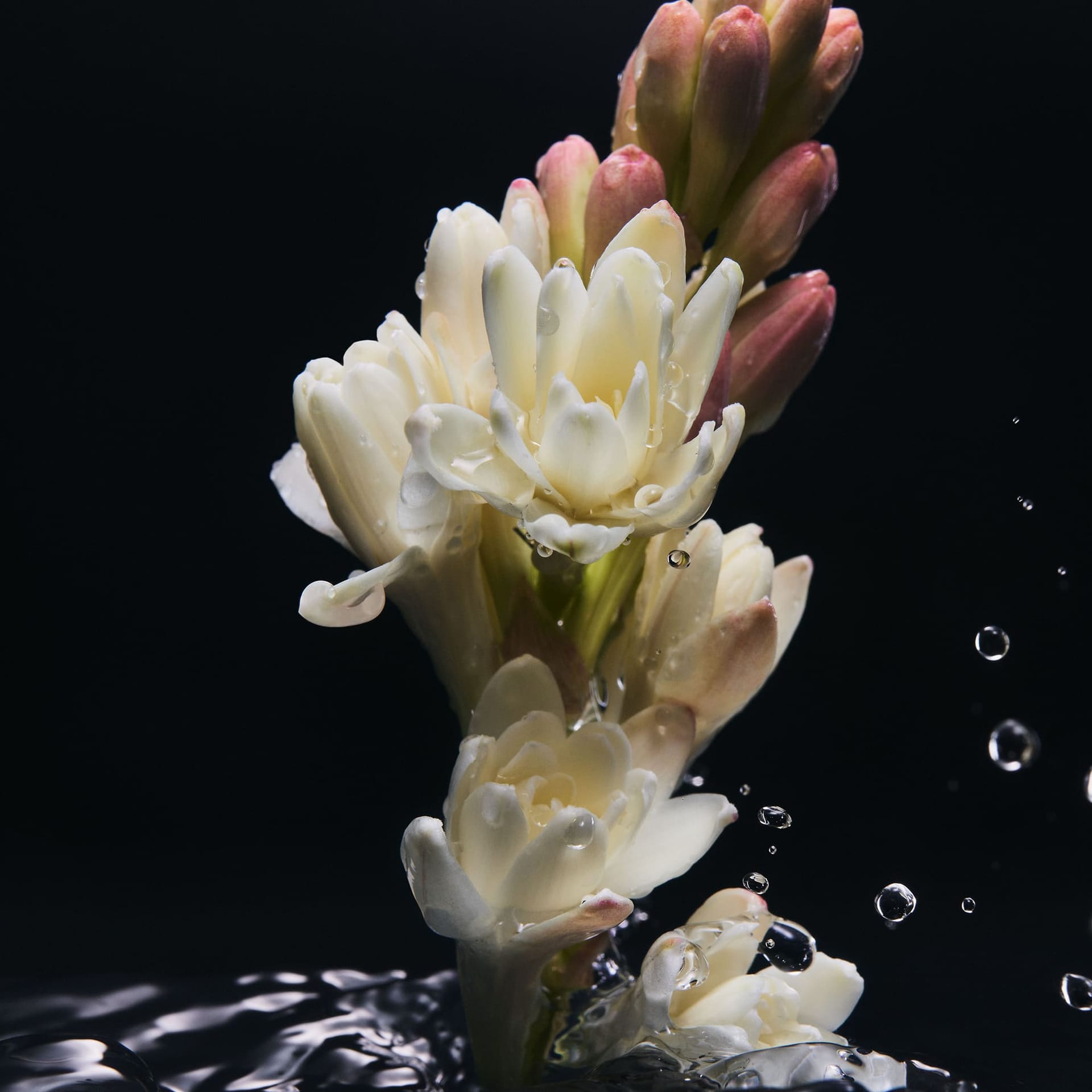 Парфюмерная вода Velvet Desire, 100 мл - фото 4