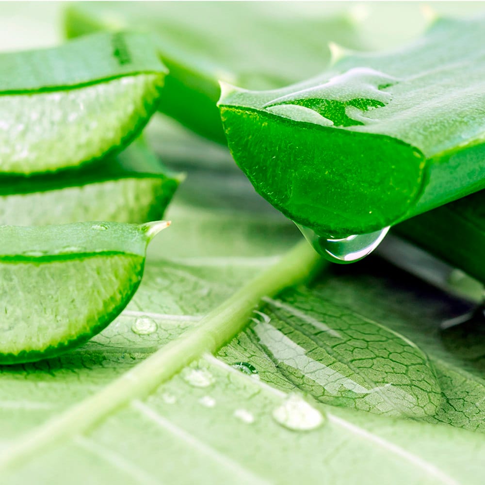 Успокаивающий, увлажняющий крем-концентрат для лица Tenzero Watery Aloe Ampoule Cream 2X, 70 г - фото 3