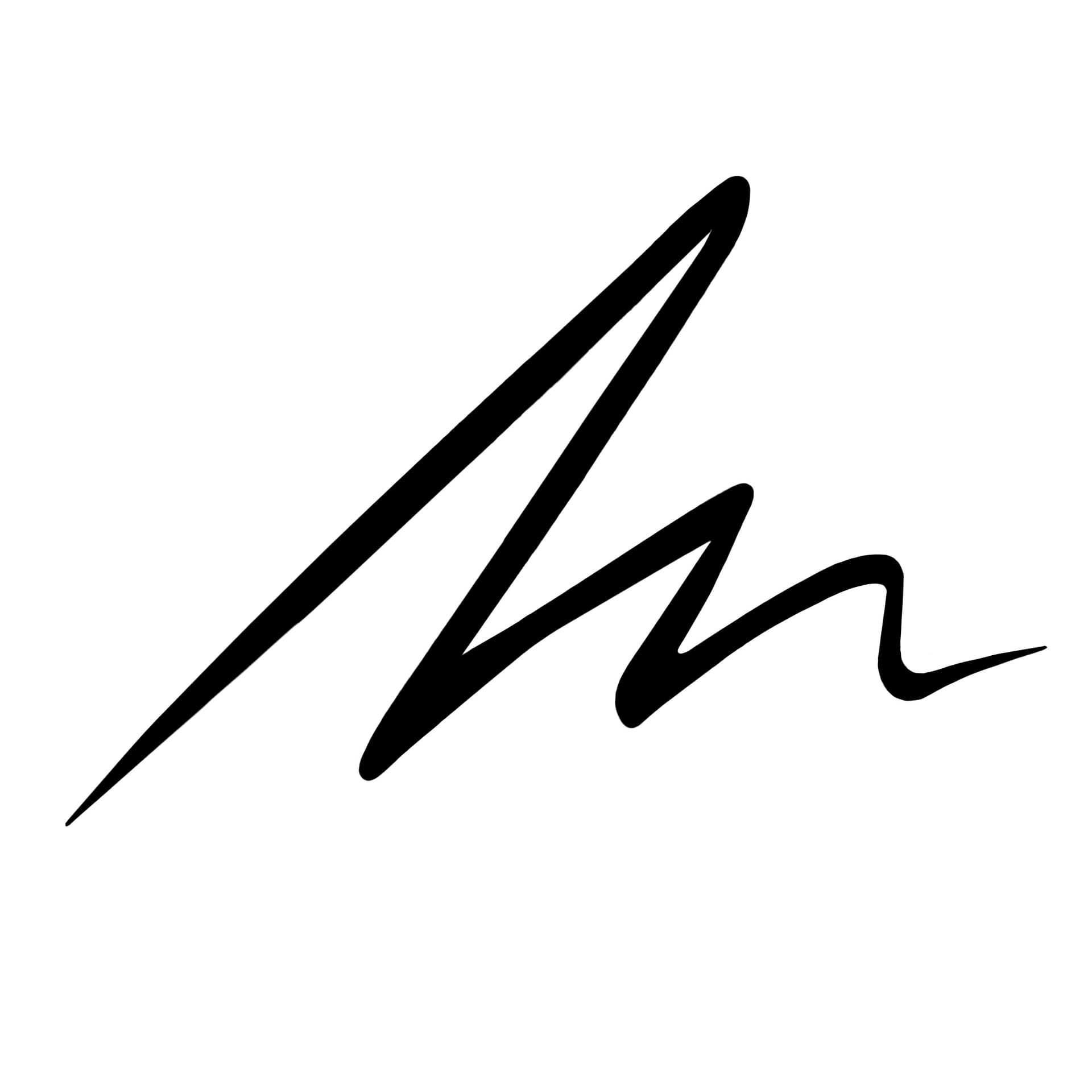 Жидкая подводка для век Everink Liner, тон 01- Total Black - фото 2
