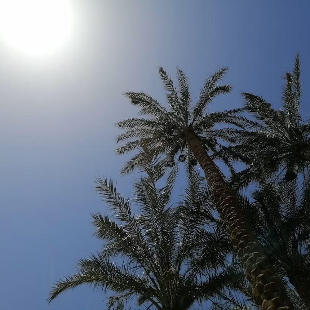 Духи Gaultier Divine Elixir - фото 3