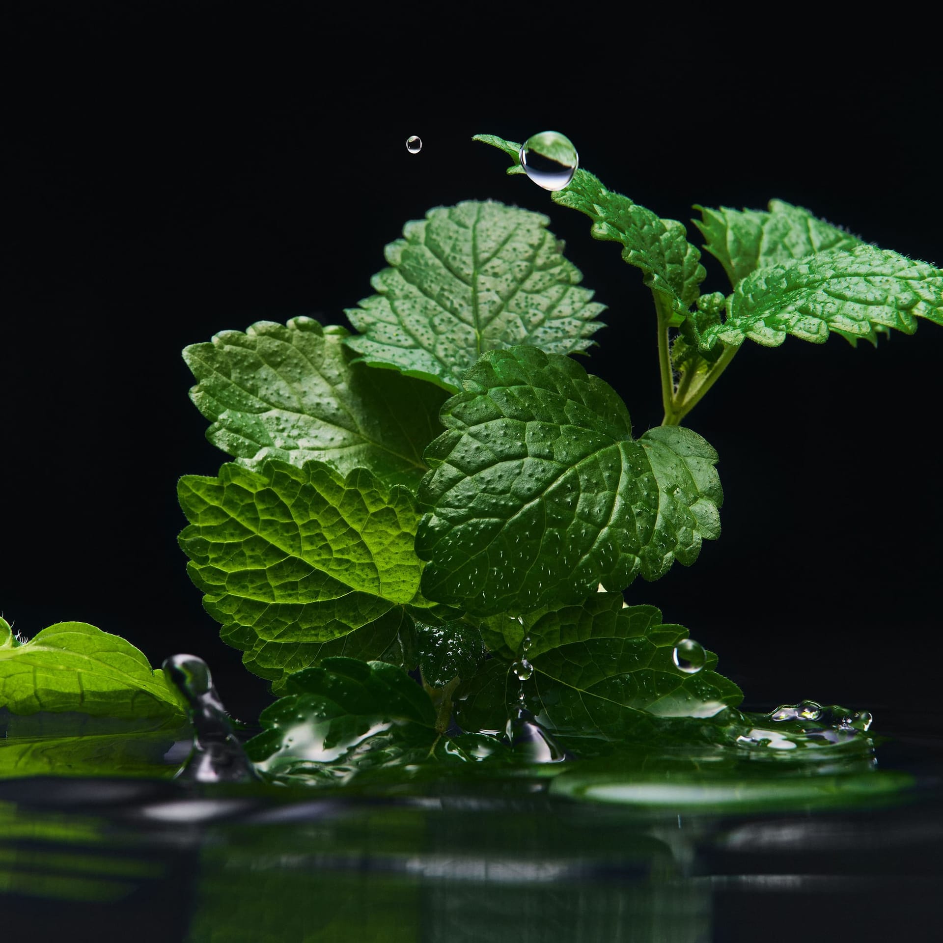 Парфюмерная вода Velvet Black Patchouli, 100 мл - фото 4