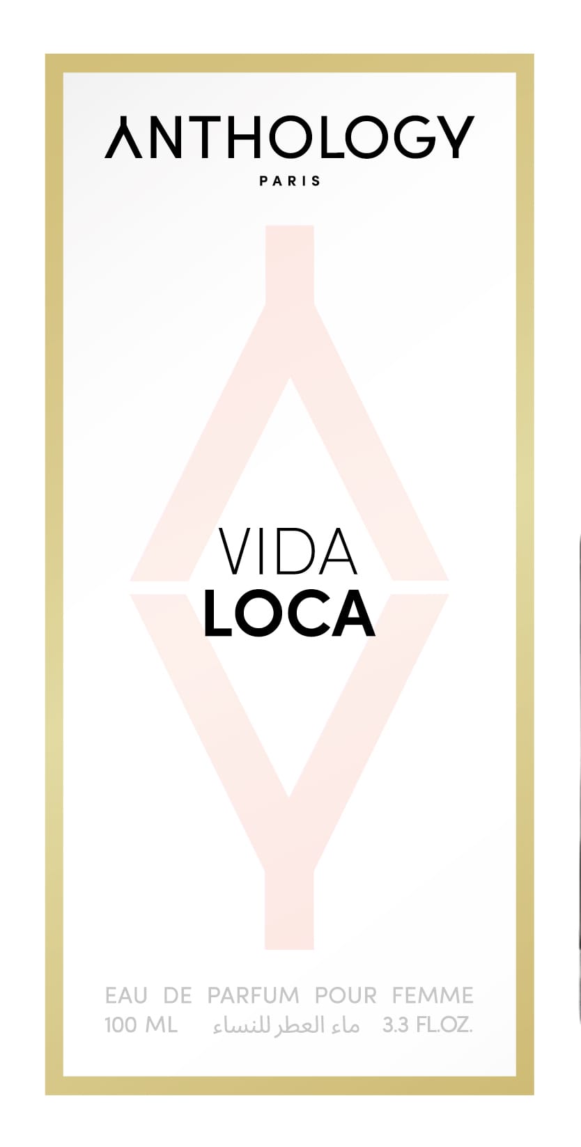 Парфюмерная вода женская Vida Loca, 100 мл - фото 3