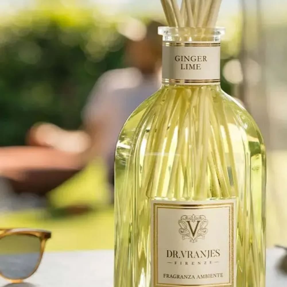 Ароматизатор воздуха для дома Dr. Vranjes Firenze Ginger Lime     - фото 5