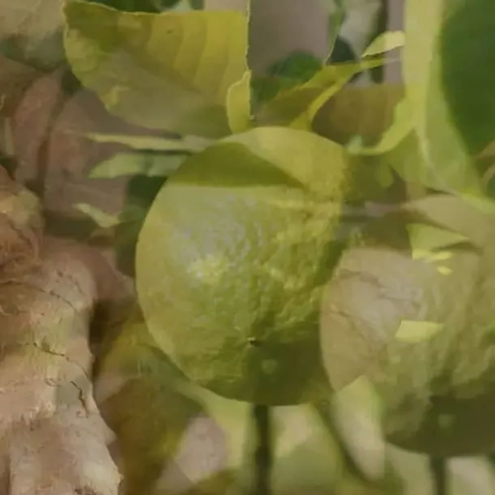 Ароматизатор воздуха для дома Dr. Vranjes Firenze Ginger Lime     - фото 4
