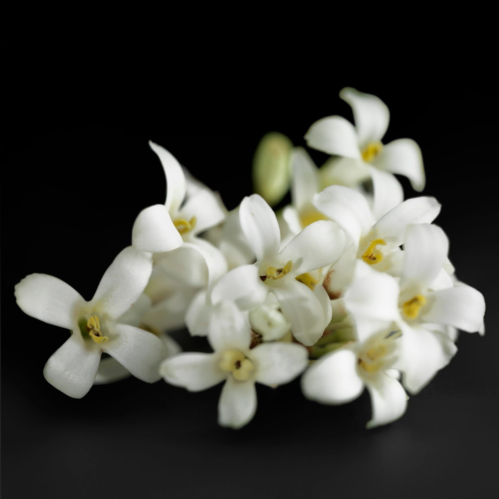Парфюмерная вода Boss The Scent For Her - фото 6